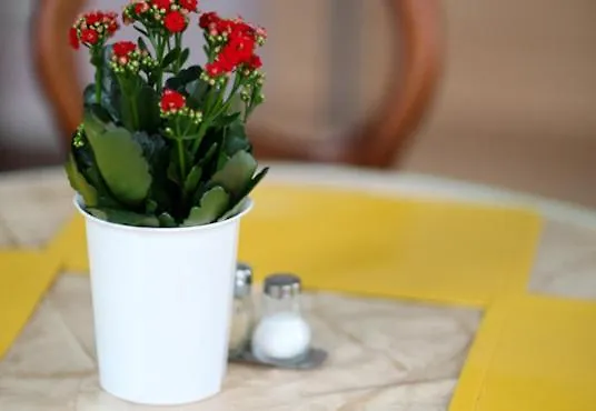 Komet 3* Ντίσελντορφ